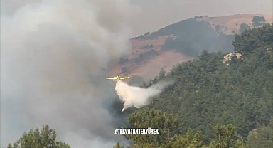 Bursa ve Karabük'teki orman yangınları.... Yerlikaya, yangınlara toplam 3 bin 163 personel, 29 hava aracıyla müdahale edildiğini bildirdi