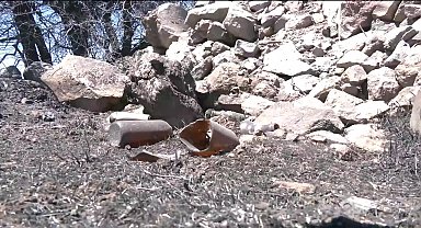 Çeşme'de binlerce hektarlık ormanlık alan kül oldu