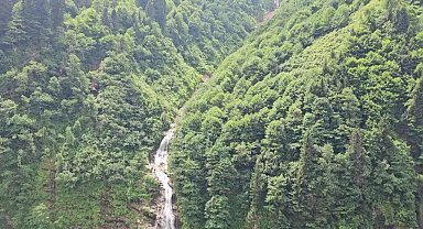 Çevreciler Aydın'dan Karadeniz'e seslendiler: