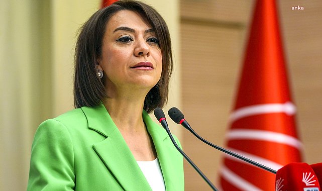 CHP'li Gamze Taşcıer: