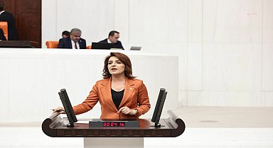 CHP'li Gülcan Kış: 