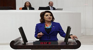 CHP’li Gülcan Kış: