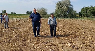 CHP'li Gürer tarladaki patatesini satamayan çiftçilerle görüştü:
