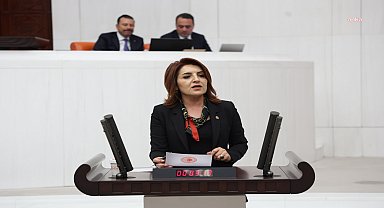 CHP'li Kış: Asgari ücret ev tutmaya yetmiyor, emekli ise hayatta kalmaya çalışıyor