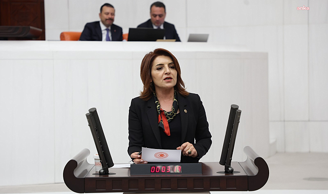 CHP'li Kış: Asgari ücret ev tutmaya yetmiyor, emekli ise hayatta kalmaya çalışıyor