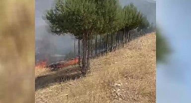 Çorum'da anız yangını can aldı