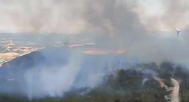 Cumhurbaşkanlığı İletişim Başkanlığı: Şarköy'deki yangına 15 söndürme uçağı, 19 söndürme helikopteri, 76 arazöz ve 509 personel sevk edilmiştir
