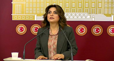 DEM Parti Grup Başkanvekili Koçyiğit: