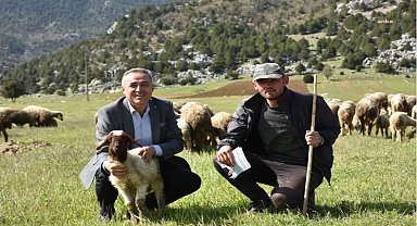 DEVA Partili Karatutlu: “Devlet kırsalı da görmelidir, aksi halde hayvancılık yok olacak”