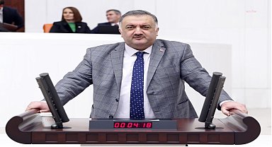 DEVA Partisi Genel Başkan Yardımcısı Karal: 
