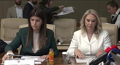 Dışişleri Bakan Yardımcısı Yılmaz, TBMM Dışişleri Komisyonu'nda