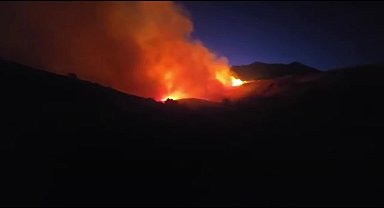 Elazığ'ın Maden ilçesinde orman yangını
