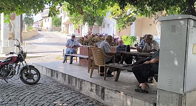 Erken seçim isteyen Adanalı: