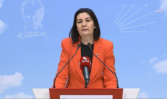 Eski CHP milletvekili Lale Karabıyık'ın hayatını kaybetmesi... CHP Denizli Milletvekili Karaca: