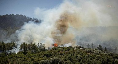 GDZ Elektrik'ten İzmir'deki orman yangınlarına ilişkin açıklama: Elektrik hatlarından kaynaklı bulgular yok