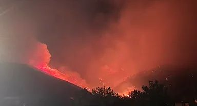 Hatay'da yangın gece boyu sürdü, rüzgarın etkisiyle yayılıyor