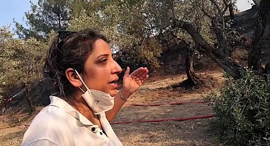 Hatay Dikmece’de zeytinliği yanan Meryem Kutlu: “Yeni proje olduğu söylendi, sonra yangın çıktı