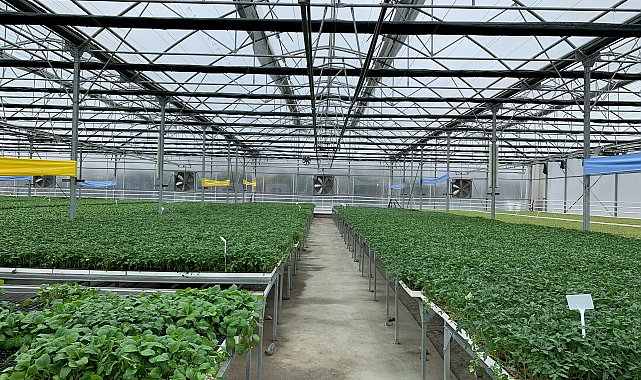 İSTAÇ’tan sıfır atık modeli: Çöp gazı elektriğe, ısı fideye dönüştü