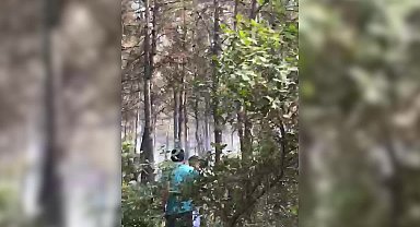 İzmir Gaziemir’de orman yangını