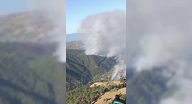 İzmir'in Ödemiş ilçesinde çıkan yangını kontrol altına alma çalışmaları sürüyor