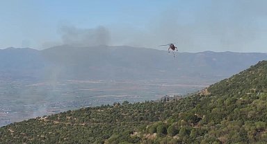 İzmir’in Ödemiş ilçesinde orman yangını: Müdahale sürüyor