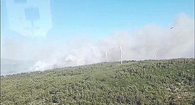 İzmir Urla'da orman yangını