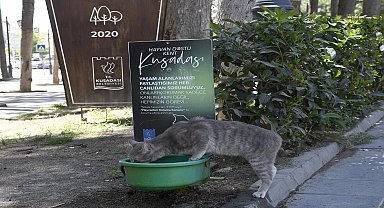 Kuşadası Belediyesi'nden çağrı: