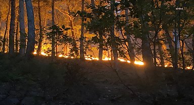 Maltepe Belediyesi ekiplerinden Eskişehir’deki orman yangınına müdahale