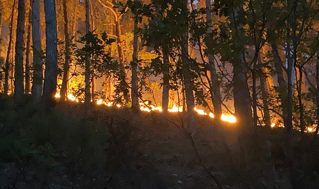 Maltepe Belediyesi ekiplerinden Eskişehir’deki orman yangınına müdahale