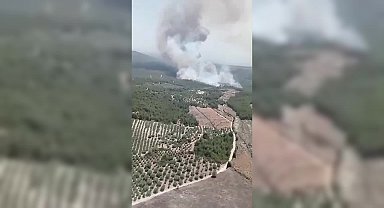 Manisa’da ziraat alanında başlayan yangın ormana sıçradı 