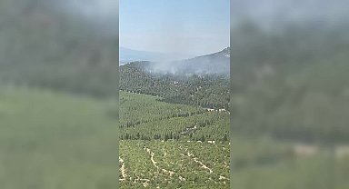 Manisa Saruhanlı'da orman yangını 