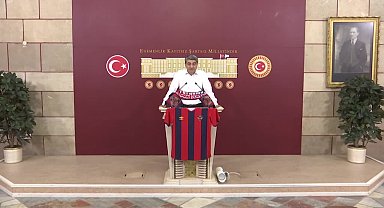 Mehmet Emin Ekmen: 100 yıllık çınara kıymayın