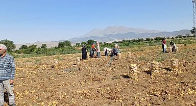 Niğde'deki yazlık patates üreticisi dertli... Ömer Fethi Gürer: 