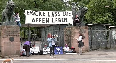 Nürnberg hayvanat bahçesi önünde şebeklerin öldürülmesine karşı protesto