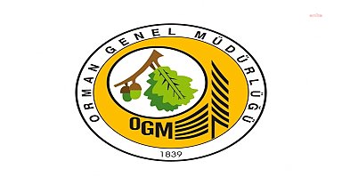OGM: Çankırı’daki orman yangını kontrol altına alındı