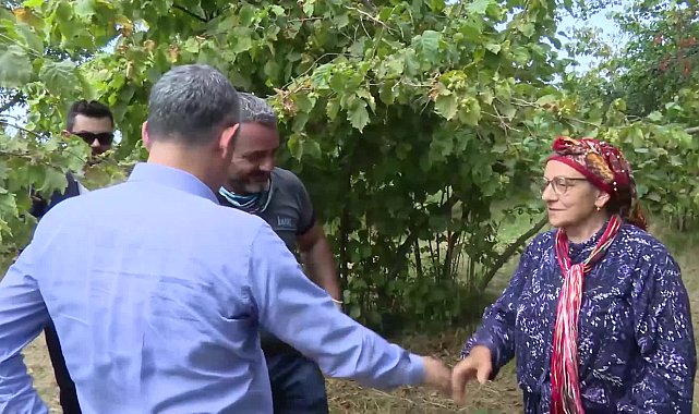 Özgür Özel, fındık bahçesinde üreticilerle sohbet etti... Fındık üreticisi Erdoğan: