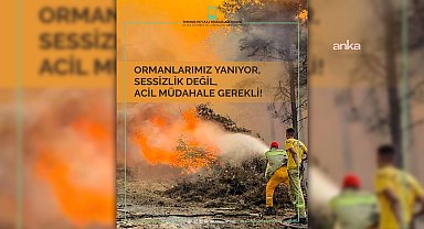 Peyzaj Mimarları Odasından orman yangınları açıklaması: 