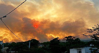 Şarköy'de orman yangınında üç mahalle tahliye edildi, söndürme çalışmaları gece boyu sürecek