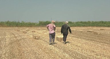 Silivri’de 39 derece sıcaklıkta saman toplayan işçiler: “Oy verdik, pişmanız”