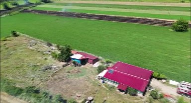 Sinop’ta anız yangını: Ekipler ormana sıçramadan söndürdü
