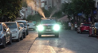 Şişli'de kene ve sineklere karşı mücadele sürüyor