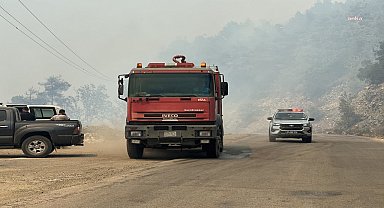 Suriye’nin Lazkiye bölgesindeki orman yangınları onuncu gününde rüzgarın da etkisiyle şiddetini artırdı