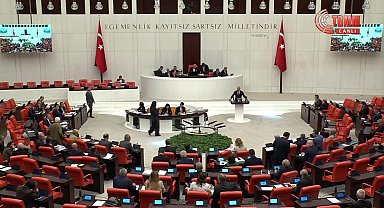 TBMM Genel Kurulu... Aşkın Genç: