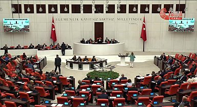 TBMM Genel Kurulu... CHP'li Dinçer 