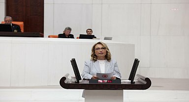 TBMM Genel Kurulu... CHP'li Yanıkömeroğlu: 