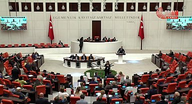 TBMM Genel Kurulu'nda CHP'li milletvekillerinden protesto... Başarır: 