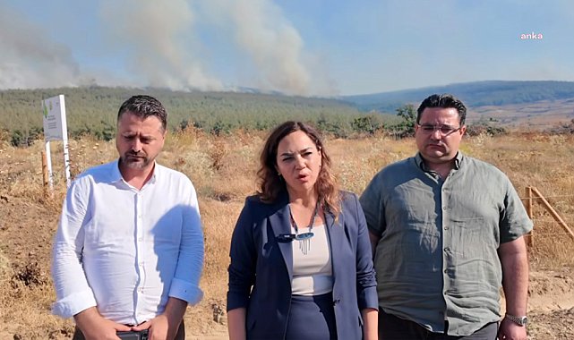 Tekirdağ Büyükşehir Belediye Başkanı Yüceer'den Şarköy'deki orman yangını için çağrı: