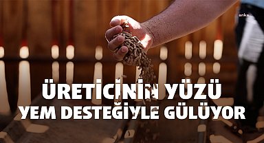 Tekirdağ'da üreticinin yüzü yem desteğiyle gülüyor