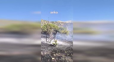 Van’da tarihi ve turistik alanda yangın