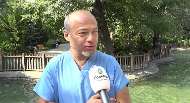 Yaralı yavru ördek, Kuğulu Park ailesine katıldı